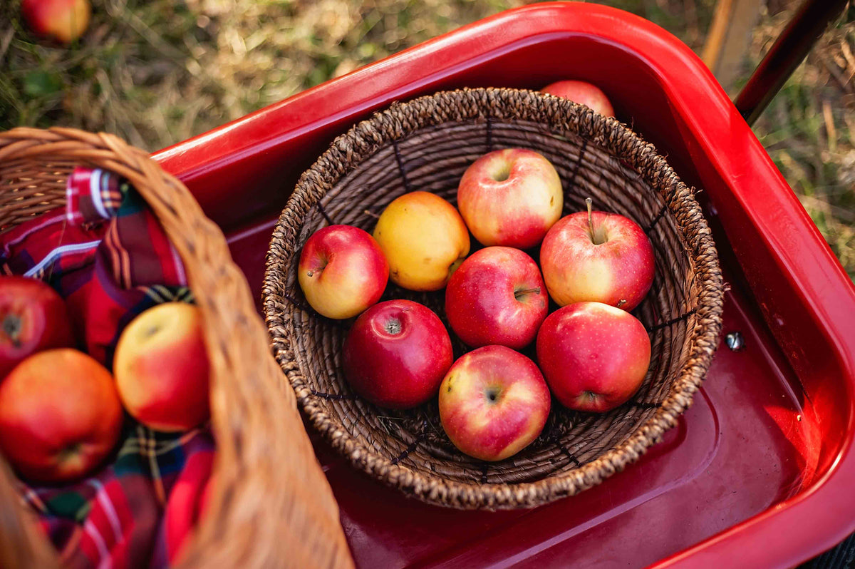 Dutch Apple Preserves