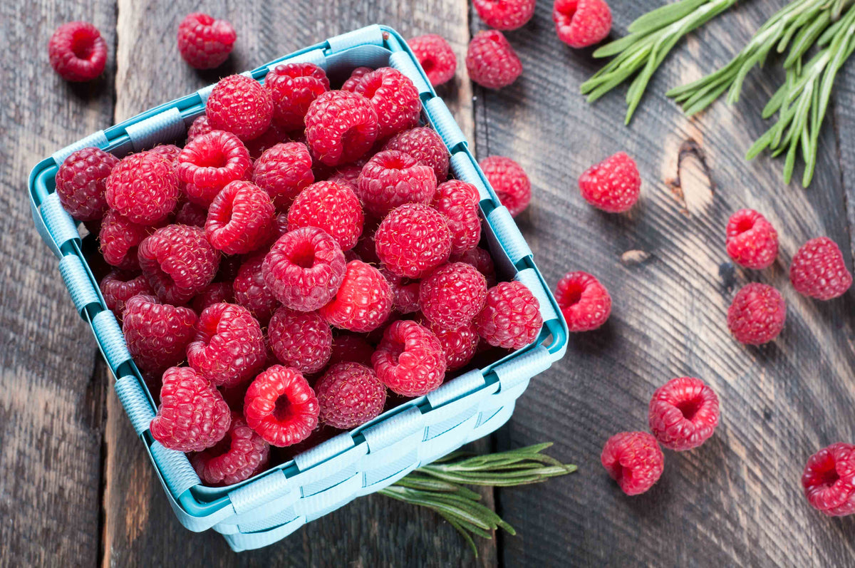 Red Raspberry Fruit Spread